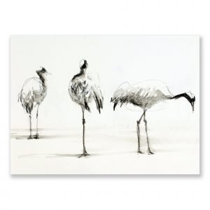 Preening trio